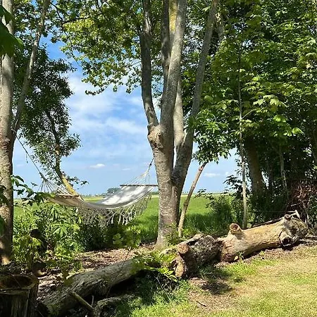 Cabin Water Zuidermeer